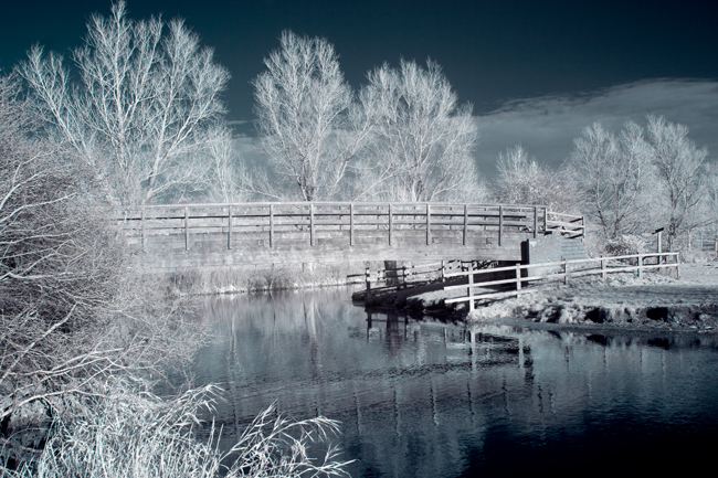 River Stour  in Winter  05  IDN0169040-GRB  3x2